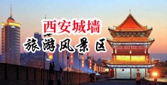 摸美女尿口的视频在线观看中国陕西-西安城墙旅游风景区
