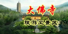 成人美女插鸡软件中国浙江-新昌大佛寺旅游风景区